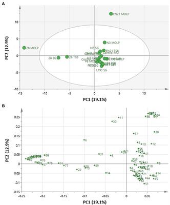 Identification of Volatile Organic Compounds in Extremophilic Bacteria and Their Effective Use in Biocontrol of Postharvest Fungal Phytopathogens